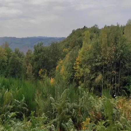 Domek alpejski With Garden *