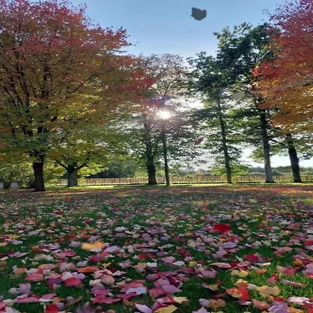 With Garden * Maboge